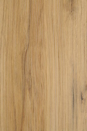 CATANIA_OAK_116388