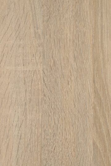 CHENE_BRUT_117469